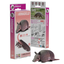 Armadillo 3D Puzzle