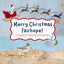 Merry Christmas Fairhope! (paperback)