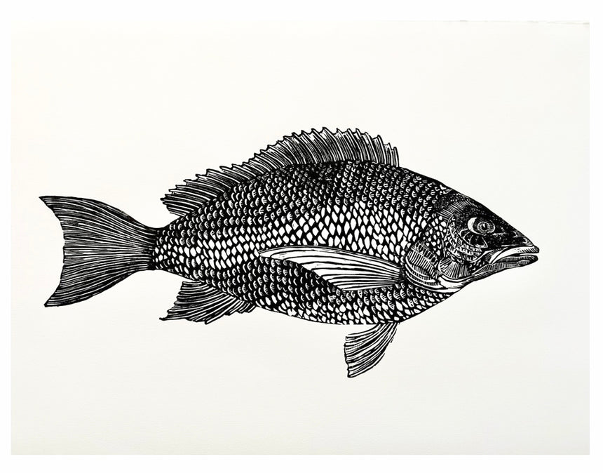 Red Snapper Print (linocut)