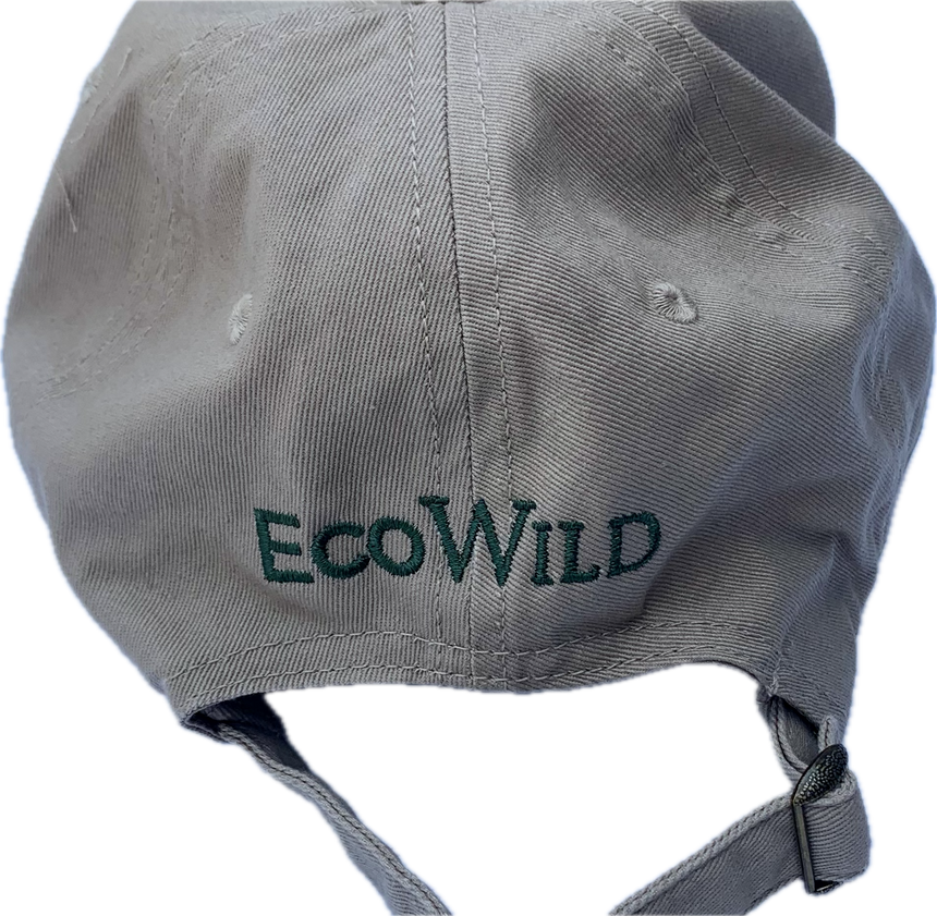 EcoWild Dad Hat