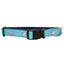 Caribbean Gulf Blue Oyster 1" Dog Collar