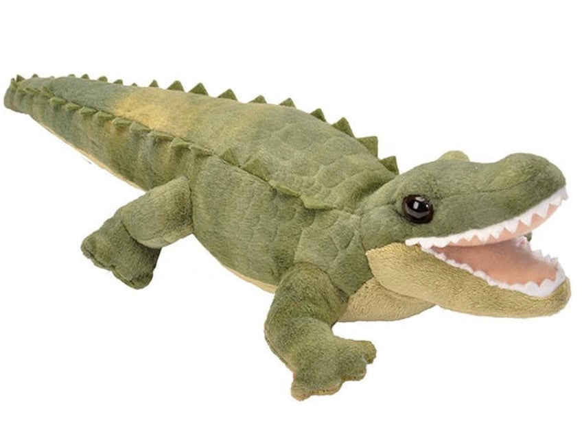 Stuffed Alligator